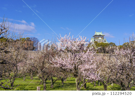 大阪城梅林から見る大阪城天守閣　朝の景色 112294520