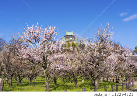 大阪城梅林から見る大阪城天守閣 朝の景色 大阪城梅林から見る大阪城天守閣 朝の景色 112294523