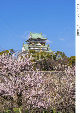 大阪城梅林から見る大阪城天守閣 朝の景色 大阪城梅林から見る大阪城天守閣 朝の景色 112294524