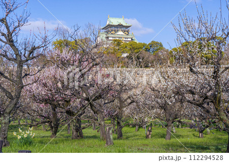 大阪城梅林から見る大阪城天守閣　朝の景色 112294528
