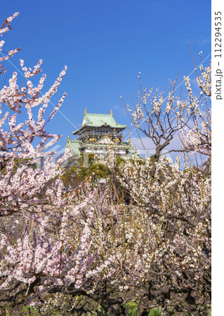大阪城梅林から見る大阪城天守閣 朝の景色 大阪城梅林から見る大阪城天守閣 朝の景色 112294535