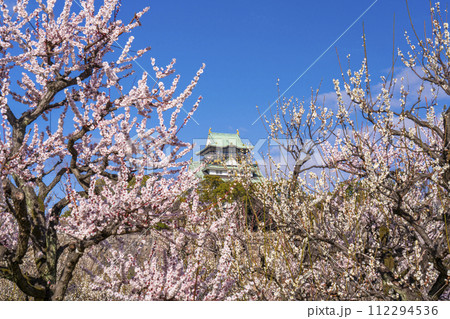 大阪城梅林から見る大阪城天守閣 朝の景色 大阪城梅林から見る大阪城天守閣 朝の景色 112294536