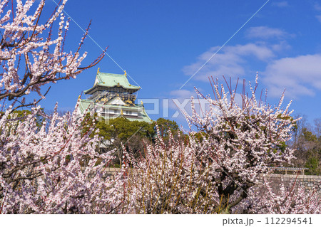 大阪城梅林から見る大阪城天守閣 朝の景色 大阪城梅林から見る大阪城天守閣 朝の景色 112294541