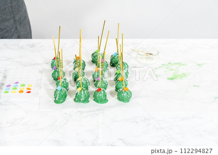 Decorating cactus cake pops with luster dust, sugar glower, and white sprinkles for the Cinco de Mayo celebration. Decorating cactus cake pops with luster dust, sugar glower, and white sprinkles for the Cinco de Mayo celebration. 112294827