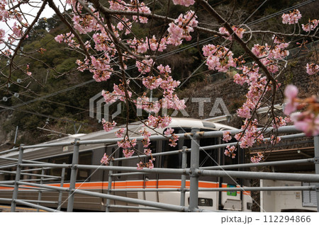 伊那小沢駅の寒桜 伊那小沢駅の寒桜 112294866