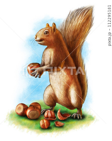 Hazelnuts and squirrel 112295181