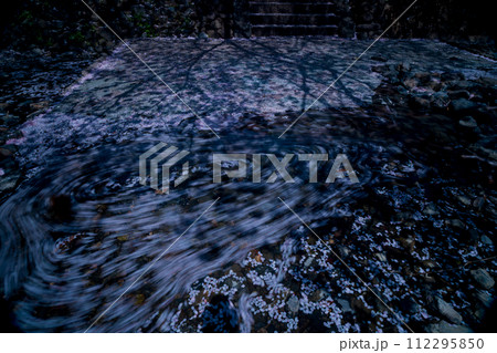 京都府亀岡市のせせらぎの桜「満開の七谷川を撮影 京都府亀岡市のせせらぎの桜「満開の七谷川を撮影 112295850