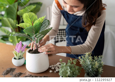 The concept of eco friendly housing, plant care and gardening. Relax home gardening. Gardener woman asian hand planting flower in pot. woman takes care of plant 112295927