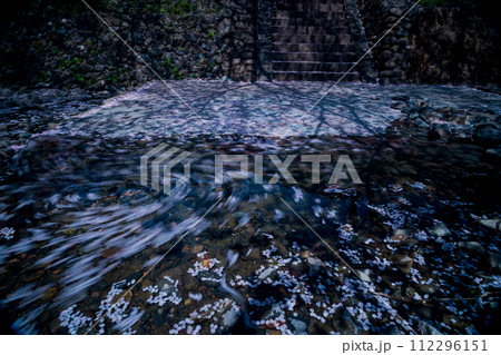 京都府亀岡市のせせらぎの桜「満開の七谷川を撮影 112296151
