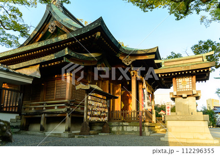 境内風景　良縁まいりスポットの神社「願いが叶う千年の夫婦楠　御神木」(北岡神社) 112296355