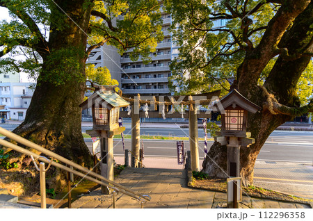境内風景 良縁まいりスポットの神社「願いが叶う千年の夫婦楠 御神木」(北岡神社) 境内風景 良縁まいりスポットの神社「願いが叶う千年の夫婦楠 御神木」(北岡神社) 112296358