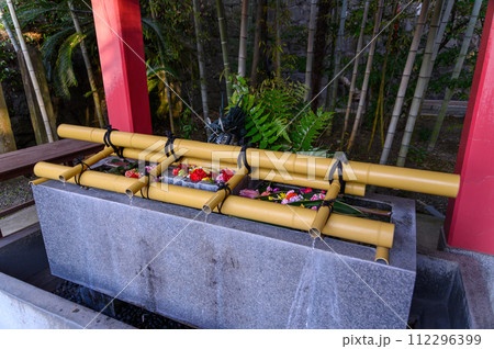 手水舎風景 良縁まいりスポットの神社「願いが叶う千年の夫婦楠 御神木」(北岡神社) 手水舎風景 良縁まいりスポットの神社「願いが叶う千年の夫婦楠 御神木」(北岡神社) 112296399