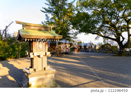 境内風景 良縁まいりスポットの神社「願いが叶う千年の夫婦楠 御神木」(北岡神社) 境内風景 良縁まいりスポットの神社「願いが叶う千年の夫婦楠 御神木」(北岡神社) 112296450