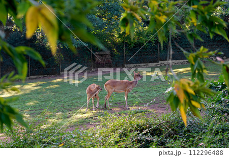 PRAGUE, CZECH REPUBLIC - 2023 PRAGUE, CZECH REPUBLIC - 2023 112296488