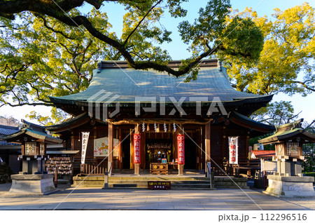 本堂と周辺風景 良縁まいりスポットの神社「願いが叶う千年の夫婦楠 御神木」(北岡神社) 本堂と周辺風景 良縁まいりスポットの神社「願いが叶う千年の夫婦楠 御神木」(北岡神社) 112296516