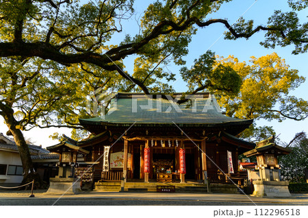 本堂と周辺風景　良縁まいりスポットの神社「願いが叶う千年の夫婦楠　御神木」(北岡神社) 112296518
