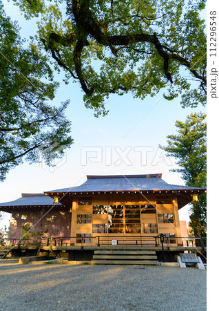境内周辺風景　良縁まいりスポットの神社「願いが叶う千年の夫婦楠　御神木」(北岡神社) 112296548