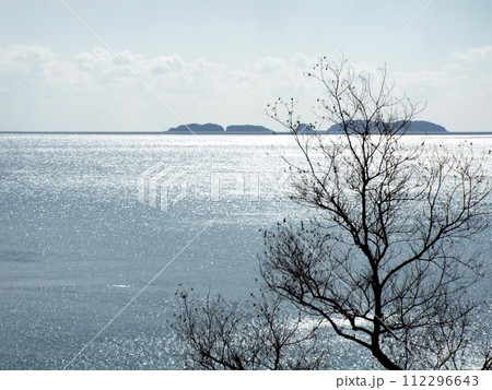 輝く海 112296643