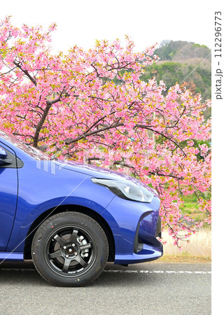 河津桜と青いコンパクトカー 112296773