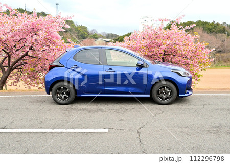 河津桜と青いコンパクトカー 河津桜と青いコンパクトカー 112296798