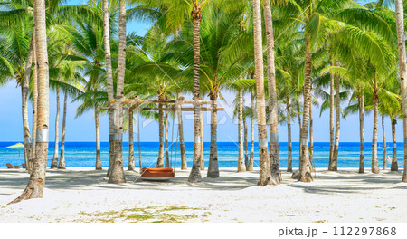 フィリピンPanglaoのビーチ フィリピンPanglaoのビーチ 112297868