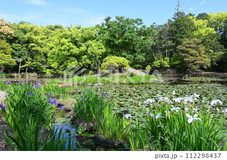 5月の花咲く京都市山科 勧修寺の氷室池 112298437