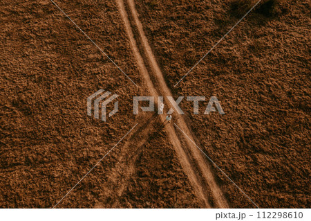 aerial view drone. husband and wife shadow go trampled path in middle field aerial view drone. husband and wife shadow go trampled path in middle field 112298610