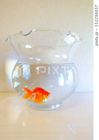 キンギョ 金魚 魚 夏 日本 和 キンギョ 金魚 魚 夏 日本 和 112298837
