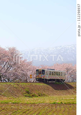 満開の桜　残雪　フラワー長井線　山形鉄道 112298937