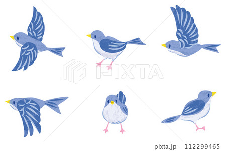 小鳥のイラストセット 青色 小鳥のイラストセット 青色 112299465
