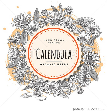Organic calendula herb circle vector illustration 112299555