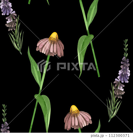 Watercolor pattern. Meadow grasses and flowers echinacea, heather plant hand drawn in watercolor on a black background. Suitable for printing on fabric and paper, for scrapbooking 112300371