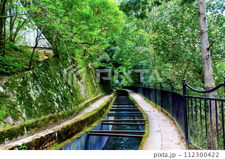 【京都】春の南禅寺　水路閣上部から望む蹴上方面へ続く水路 112300422