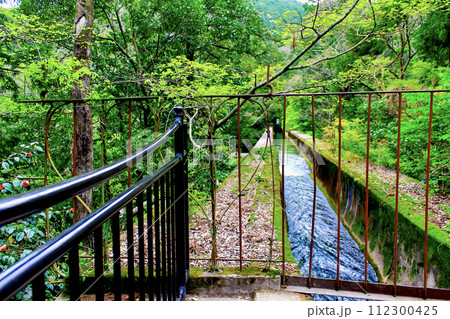 【京都】春の南禅寺　水路閣上部から望む水路とハートの柵 112300425