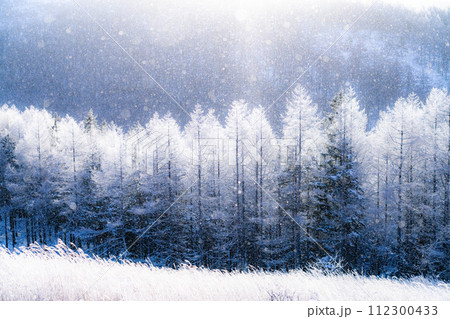 《長野県》ダイヤモンドダストが舞う霧氷の原生林・冬の霧ヶ峰高原 112300433