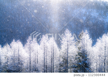 《長野県》ダイヤモンドダストが舞う霧氷の原生林・冬の霧ヶ峰高原 《長野県》ダイヤモンドダストが舞う霧氷の原生林・冬の霧ヶ峰高原 112300444