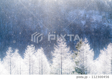 《長野県》ダイヤモンドダストが舞う霧氷の原生林・冬の霧ヶ峰高原 《長野県》ダイヤモンドダストが舞う霧氷の原生林・冬の霧ヶ峰高原 112300456