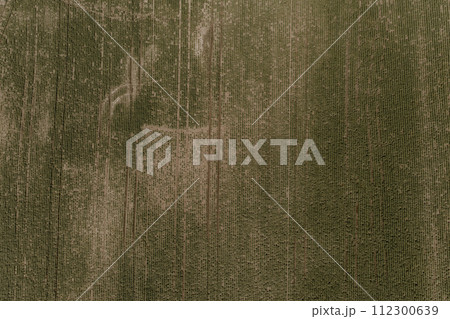 Clean background green grass field in Ukraine. Ukrainian ground farming nature summer meadow 112300639