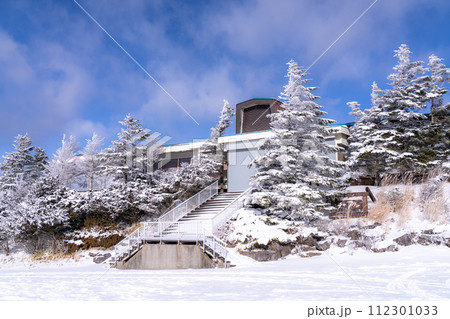 《長野県》霧氷の原生林・冬の霧ヶ峰高原 《長野県》霧氷の原生林・冬の霧ヶ峰高原 112301033