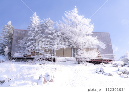 《長野県》霧氷の原生林・冬の霧ヶ峰高原 《長野県》霧氷の原生林・冬の霧ヶ峰高原 112301034