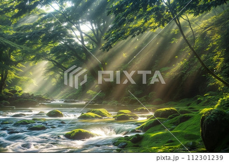 美しい森と川の背景画像 112301239