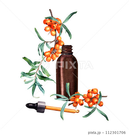 Composition with sea buckthorn branches and small brown glass bottle dropper and pipette for cosmetic oil, serum or medicine drops. Watercolor illustration isolated on white. 112301706