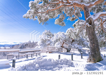 《山梨県》冬の富士山・積雪の二十曲峠の夜景 《山梨県》冬の富士山・積雪の二十曲峠の夜景 112302291