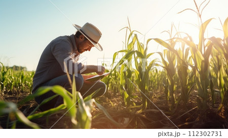 Farmer working on tablet computer in corn field at sunset. Technology and agriculture concept Farmer working on tablet computer in corn field at sunset. Technology and agriculture concept 112302731