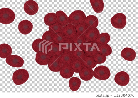 Image of multiple animal cells 112304076