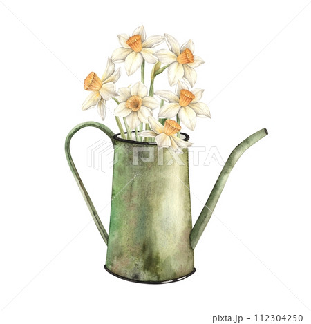 Watercolor floral composition with green watering can and daffodils. Hand drawn illustrations on isolated background for greeting cards, invitations, happy holidays, posters, fabric, label. Watercolor floral composition with green watering can and daffodils. Hand drawn illustrations on isolated background for greeting cards, invitations, happy holidays, posters, fabric, label. 112304250