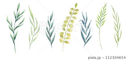 Set of watercolor herbs. Meadow wild plants. Provence abstract grass. Hand drawn illustration of field weeds. Clip art for decoration, template, cosmetic package Set of watercolor herbs. Meadow wild plants. Provence abstract grass. Hand drawn illustration of field weeds. Clip art for decoration, template, cosmetic package 112304654