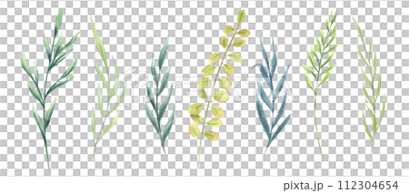 Set of watercolor herbs. Meadow wild plants. Provence abstract grass. Hand drawn illustration of field weeds. Clip art for decoration, template, cosmetic package 112304654