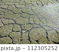 ひび割れた農地を水が潤す 112305252
