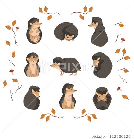Cute Little Hedgehog Collection, Lovely Wild Forest Animal Cartoon Character in Various Poses Vector Illustration 112306126
